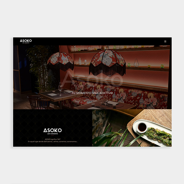 asoko-diseno-web-gris3