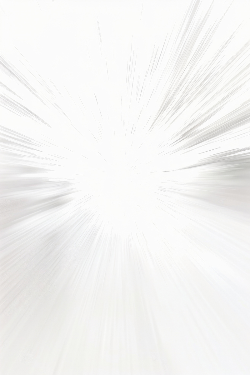 velocidad web